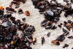 Guajillo Flake Online Hot Sale