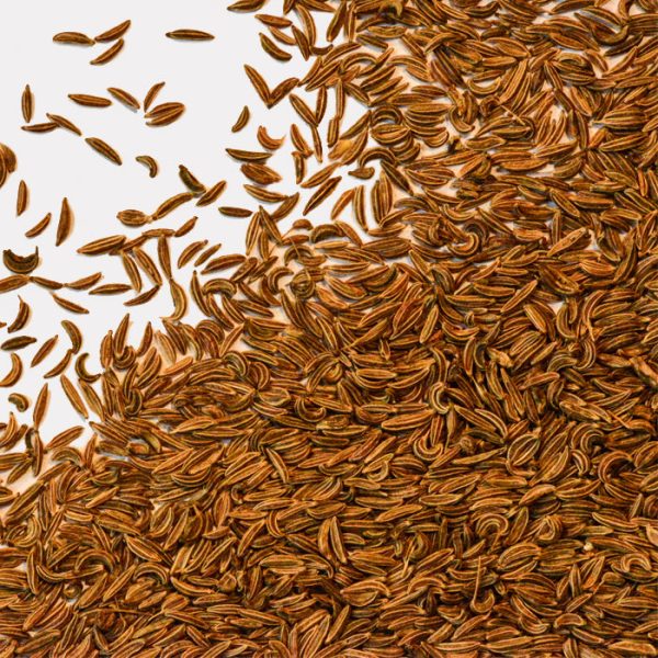 Caraway Seeds Online Hot Sale