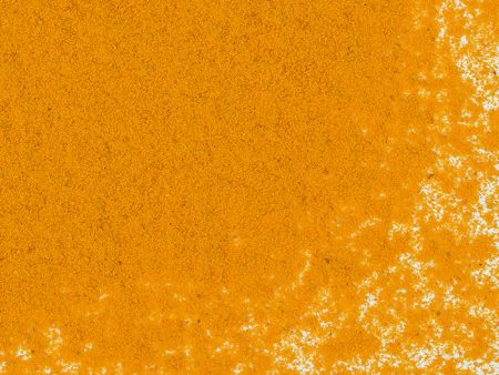 Turmeric Powder For Sale