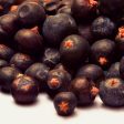 Juniper Berries Online