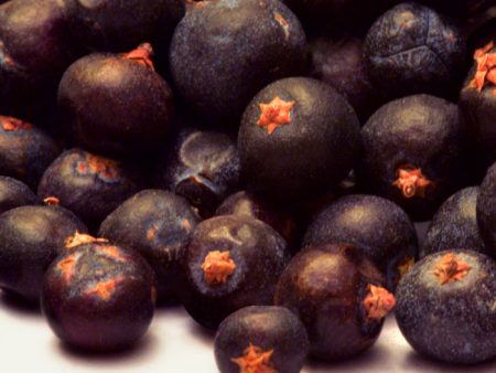 Juniper Berries Online