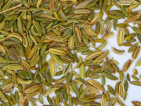 Fennel Seeds Online