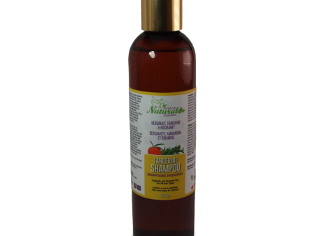 Tangerine-Sulphate-Free Shampoo- Simply Shea Soft Hot on Sale