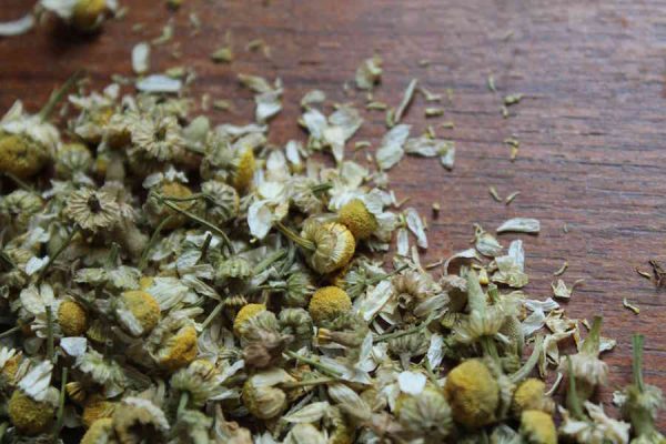 Chamomile on Sale