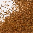 Caraway Seeds Organic Supply