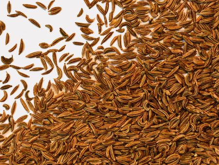 Caraway Seeds Organic Supply