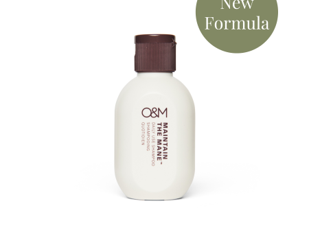 Maintain the Mane Shampoo Mini (1.7oz) - New Formula Online now