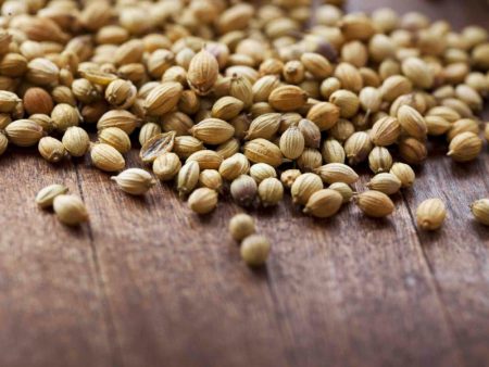 Indian Coriander Seed Cheap