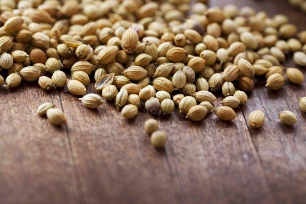 Indian Coriander Seed Cheap