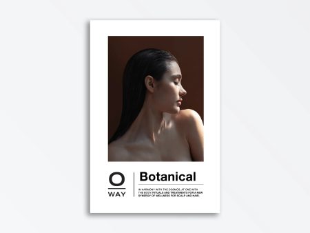 Botanical Detox Folder (Manual) For Cheap