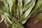 California Bay Leaf on Sale