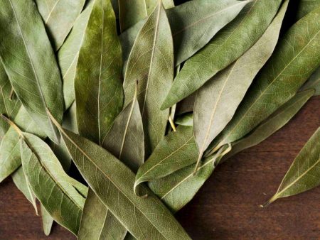 California Bay Leaf on Sale