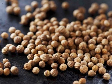 European Coriander Seed Fashion