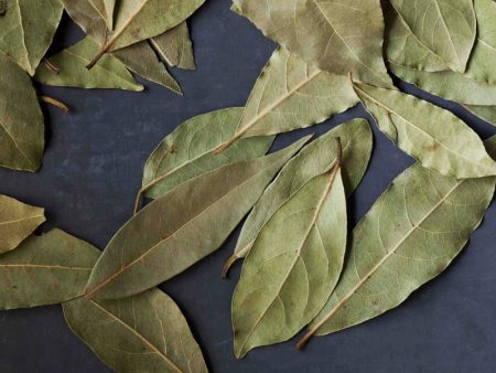 Turkish Bay Leaf For Sale