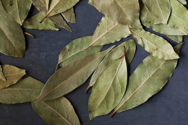 Turkish Bay Leaf For Sale