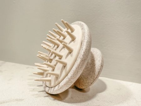 Scalp Massage Brush Online now