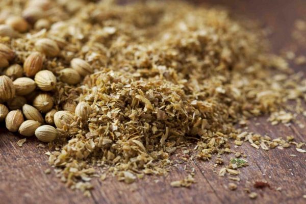 Indian Coriander Seed Cheap