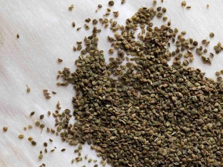 Celery Seed For Sale