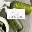 Galènica In-Salon Scalp Service Kit Sale