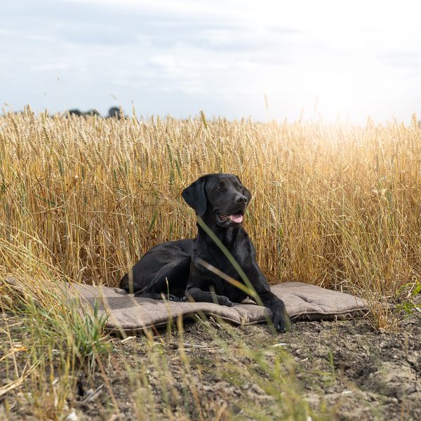 Travel Mat In Inchmurrin Umber by Lords & Labradors For Discount