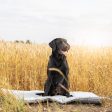 Travel Mat In Inchmurrin Iceberg by Lords & Labradors For Cheap